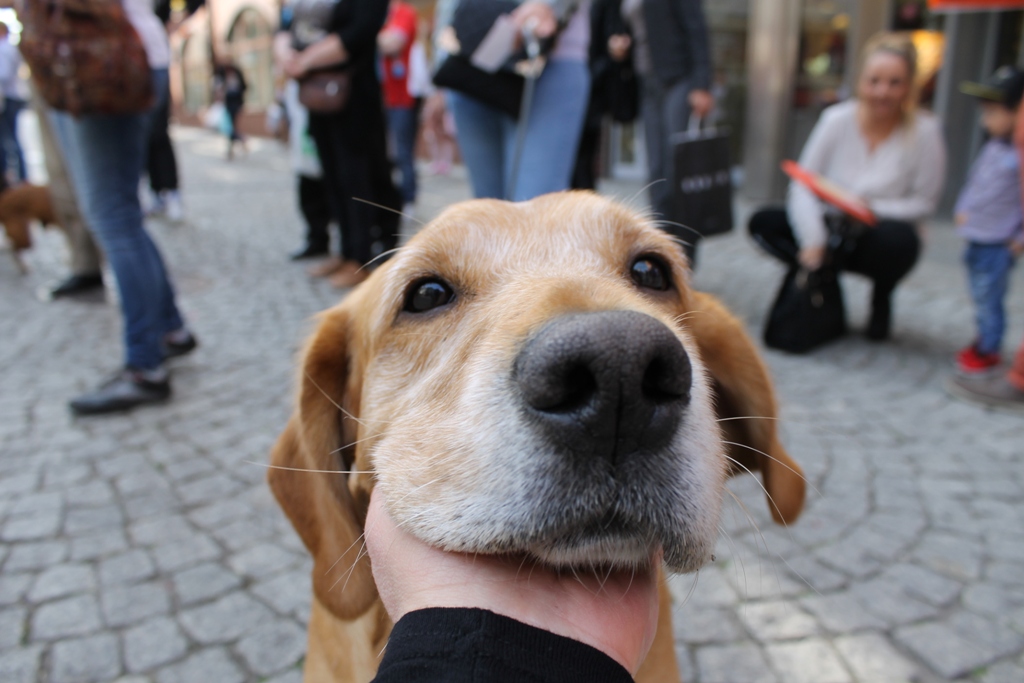 REGION. Kierowcy donieśli na prezydenta