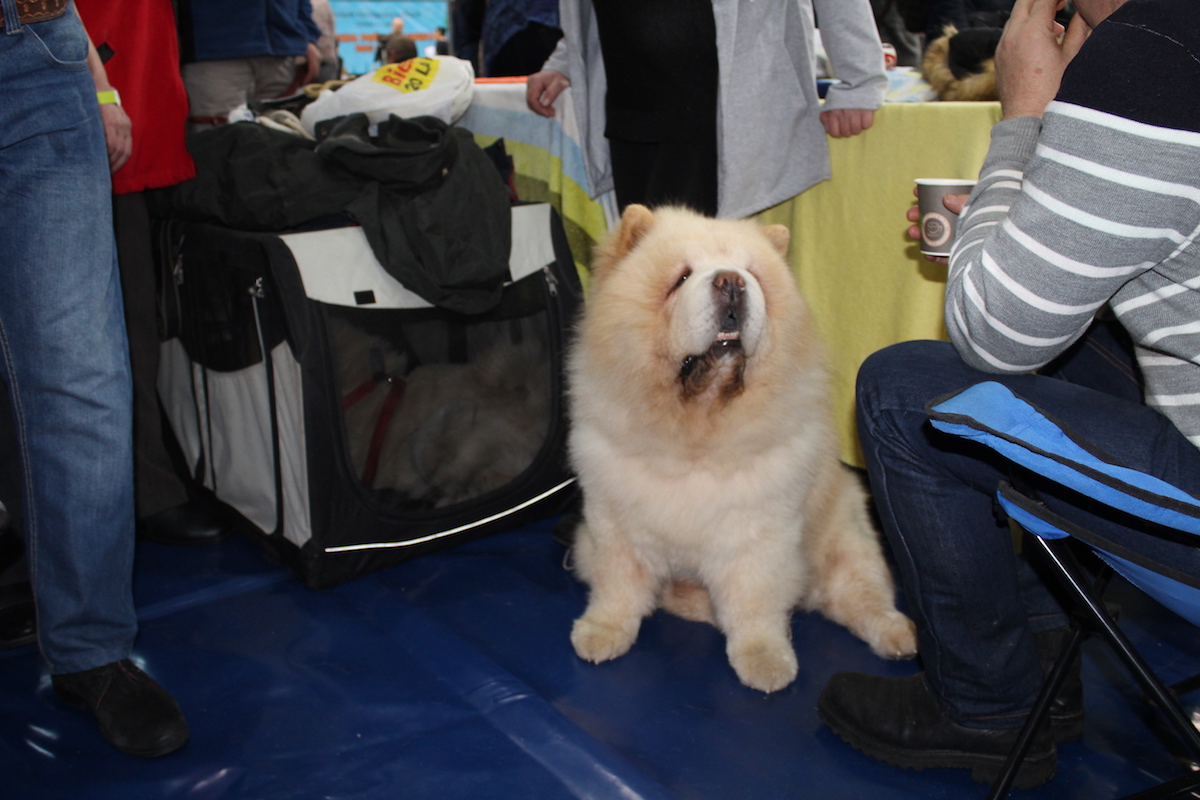 Lubiński policjant pod lupą prokuratury