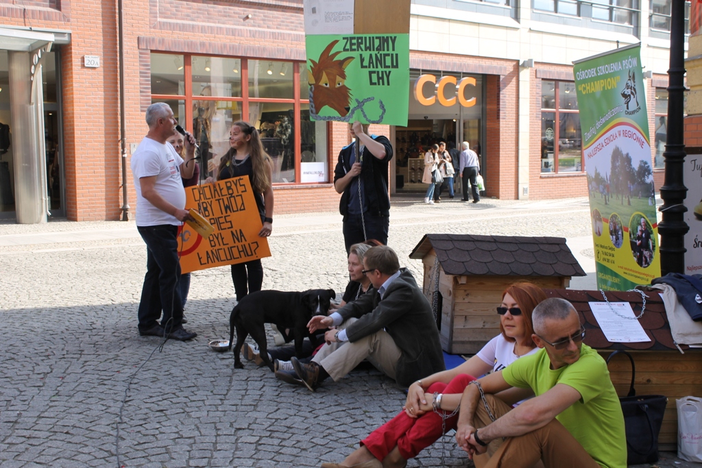 LEGNICA. Przestanie trząść i kołysać