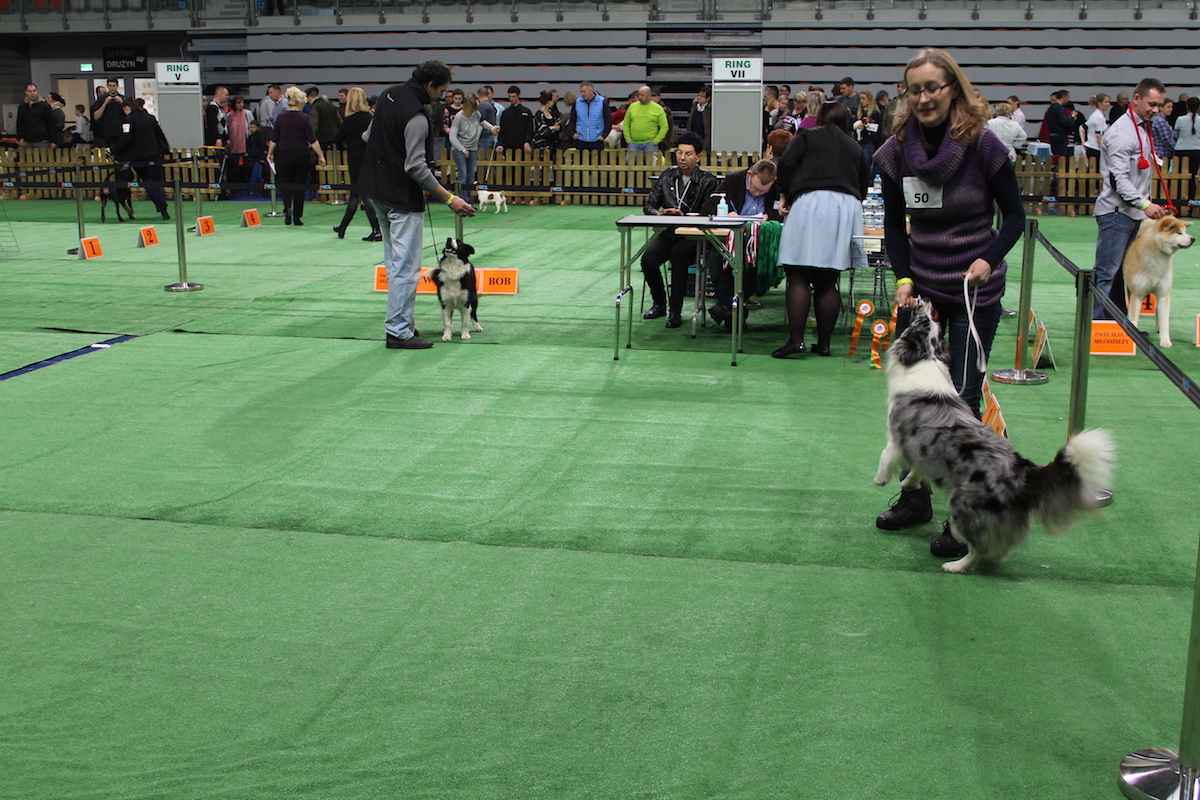 LEGNICA. Historie nieznane