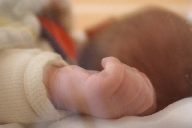 POLKOWICE. Chinka odmówiła zeznań i trafiła do aresztu