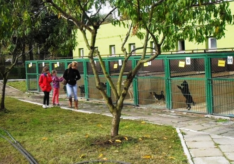 LEGNICA. Lirycznie na żywo