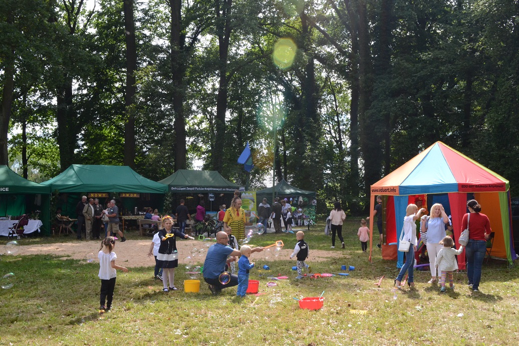 LEGNICKIE POLE. Do aresztu za nielegalne zioła