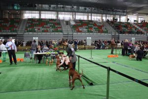 IMG_1203