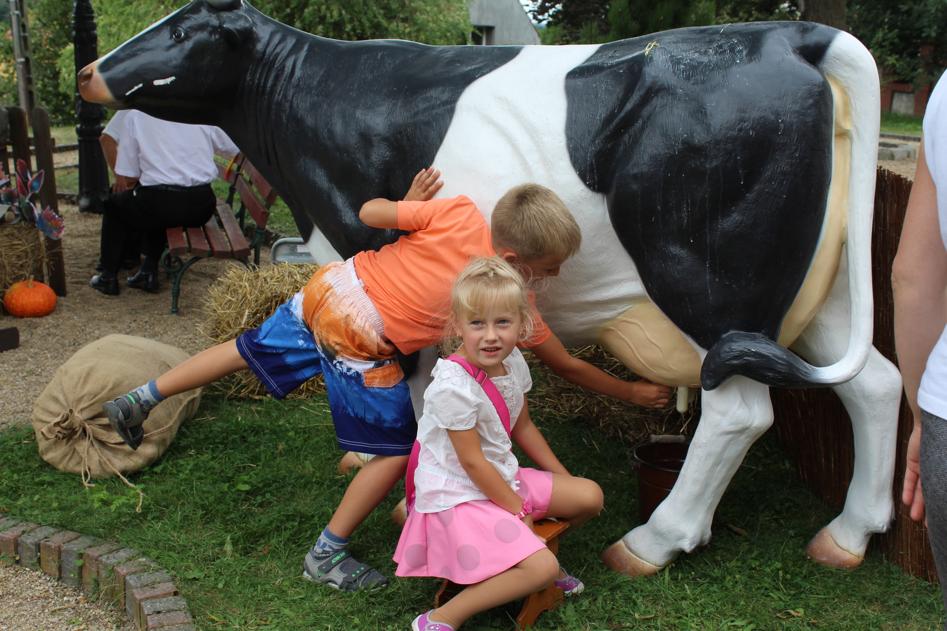 LEGNICA. Cofając potrącił pieszą