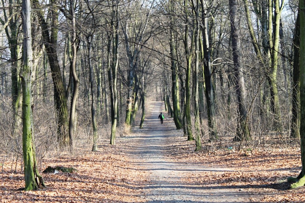LEGNICA. Wszędzie bród i smród