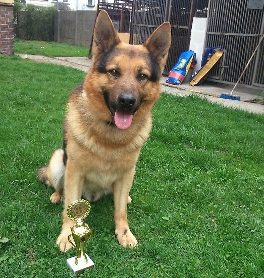 LEGNICA. Miasto zgodziło się na dewastację boiska