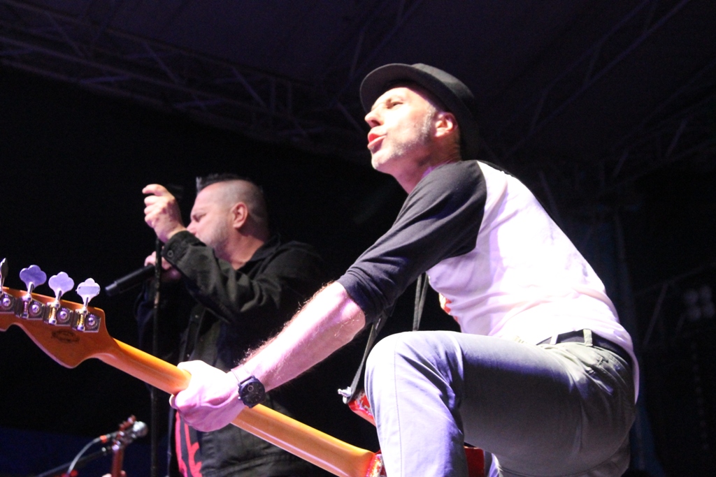 RASZÓWKA. Uderzył w drzewo