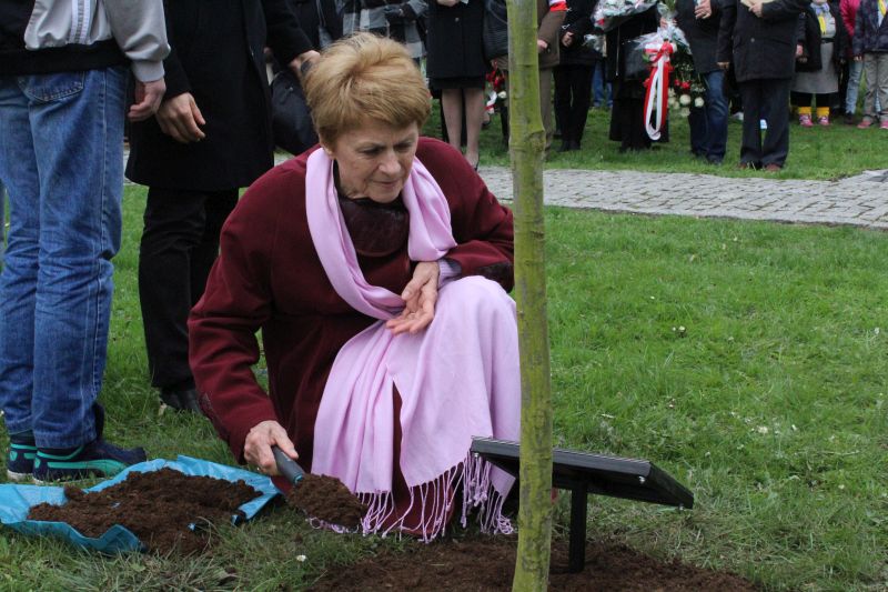 POLKOWICE. Rumuni na Erasmusie