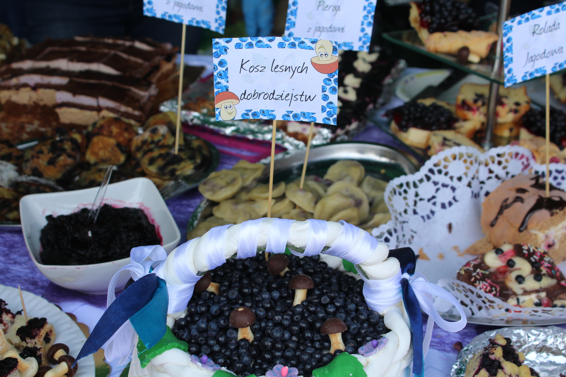 REGION. Tylko ośmiu do Europarlamentu