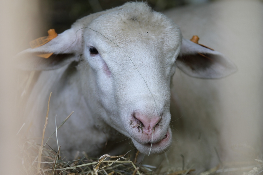LEGNICA. Sztuka na dworcu?