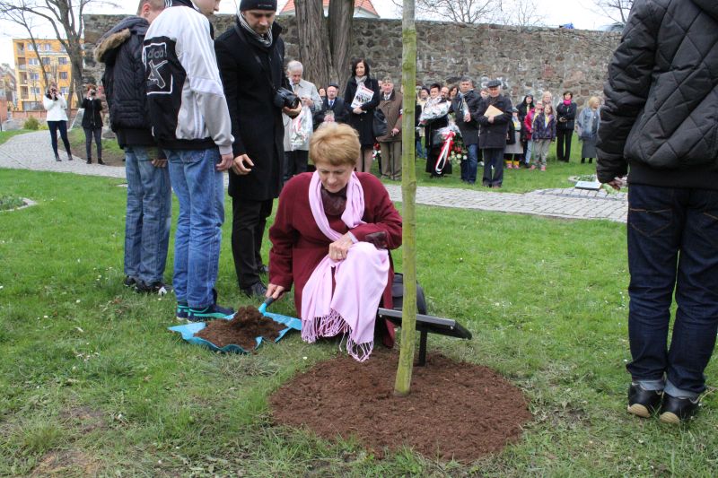GŁOGÓW. Nowe autobusy wyjadą na ulice
