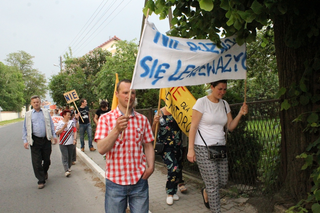 LUBIN. Czerwone maki na Wzgórzu Zamkowym