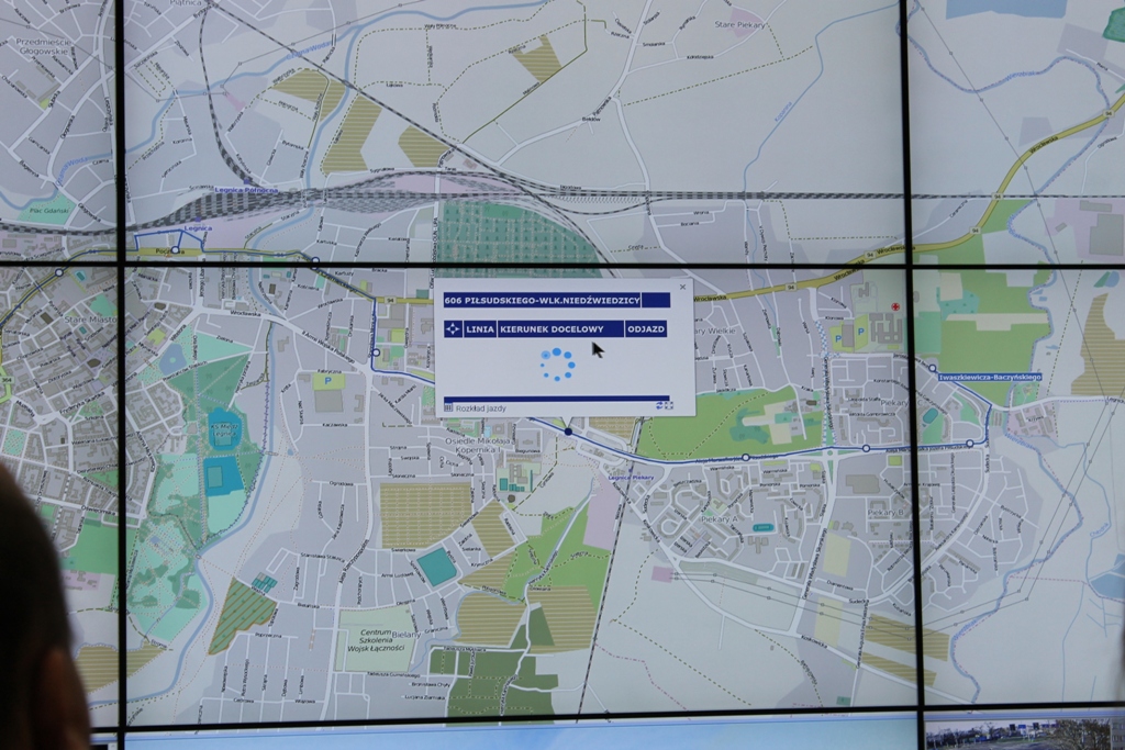 LUBIN. Kryształowe serce i nordic walking na sesji