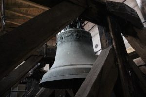 IMG_6811