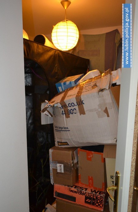 POLKOWICE. Nieudana transakcja