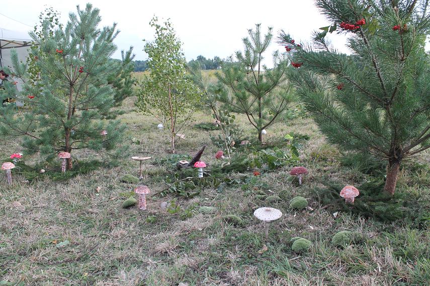 CHOCIANÓW/KUNICE. Mewa bez szans z Stalą