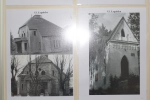 IMG_6655