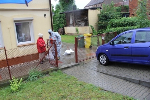 LEGNICA. Rewelacyjne wyniki matur w II LO