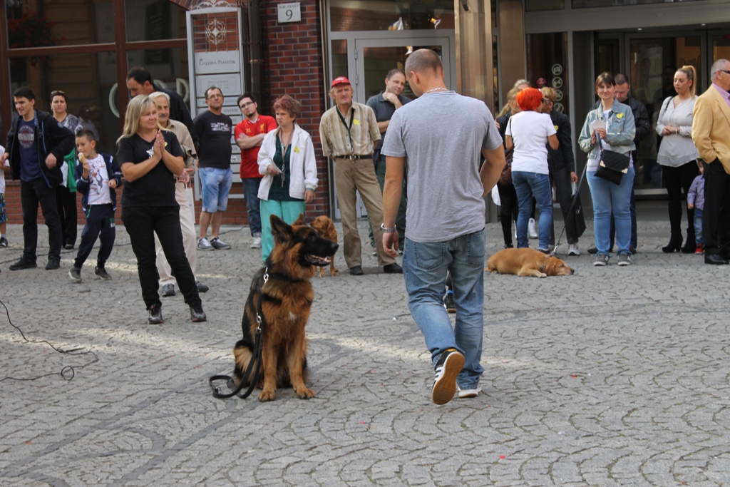 LEGNICA. Nie czuje się winny. Uważa, że został skrzywdzony