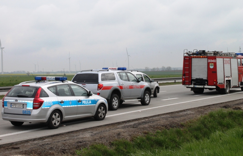 LEGNICA. Zasnął za kierownicą i spowodował wypadek