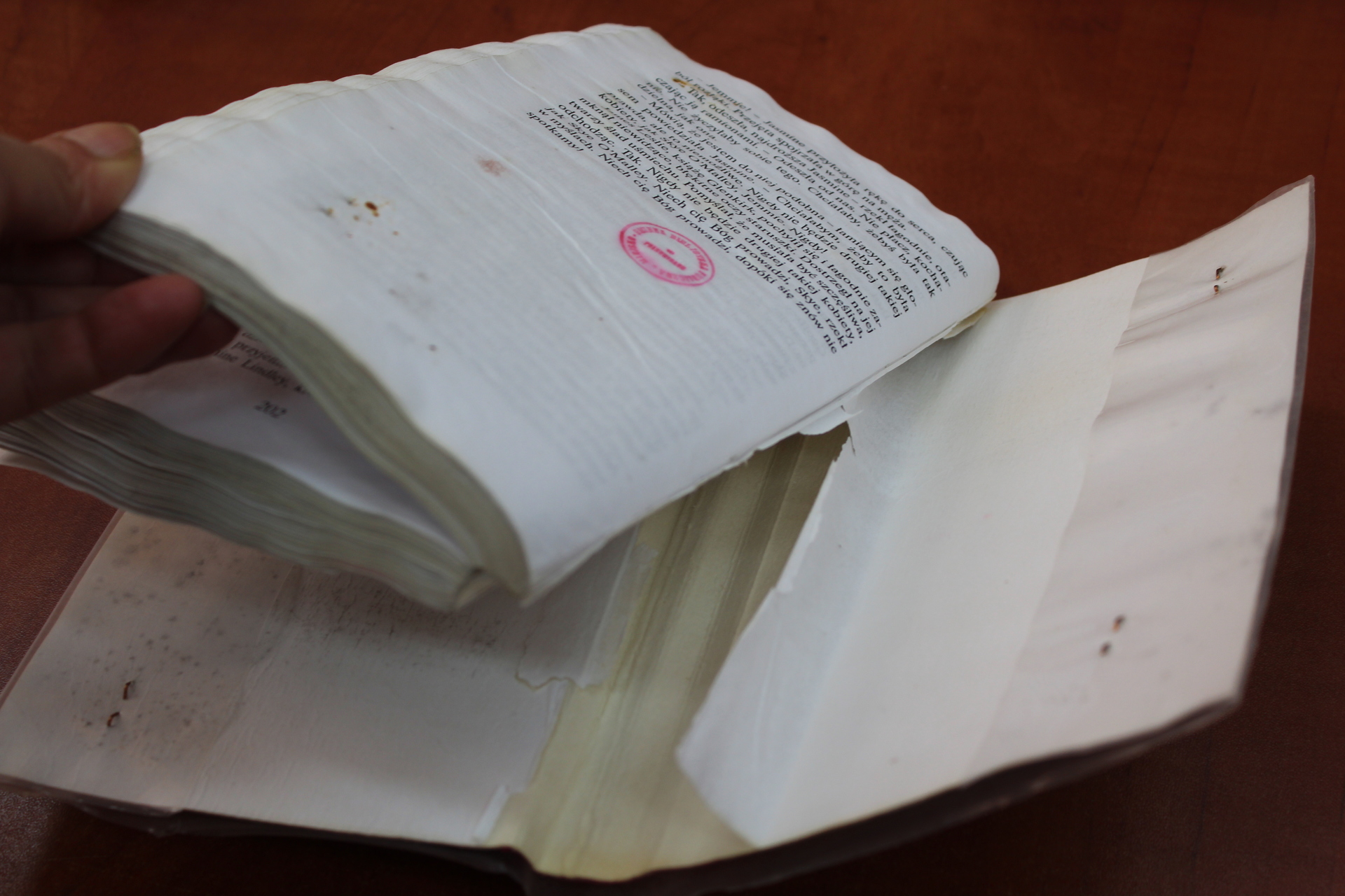 GŁOGÓW. Zrób zdjęcie i wygraj konkurs