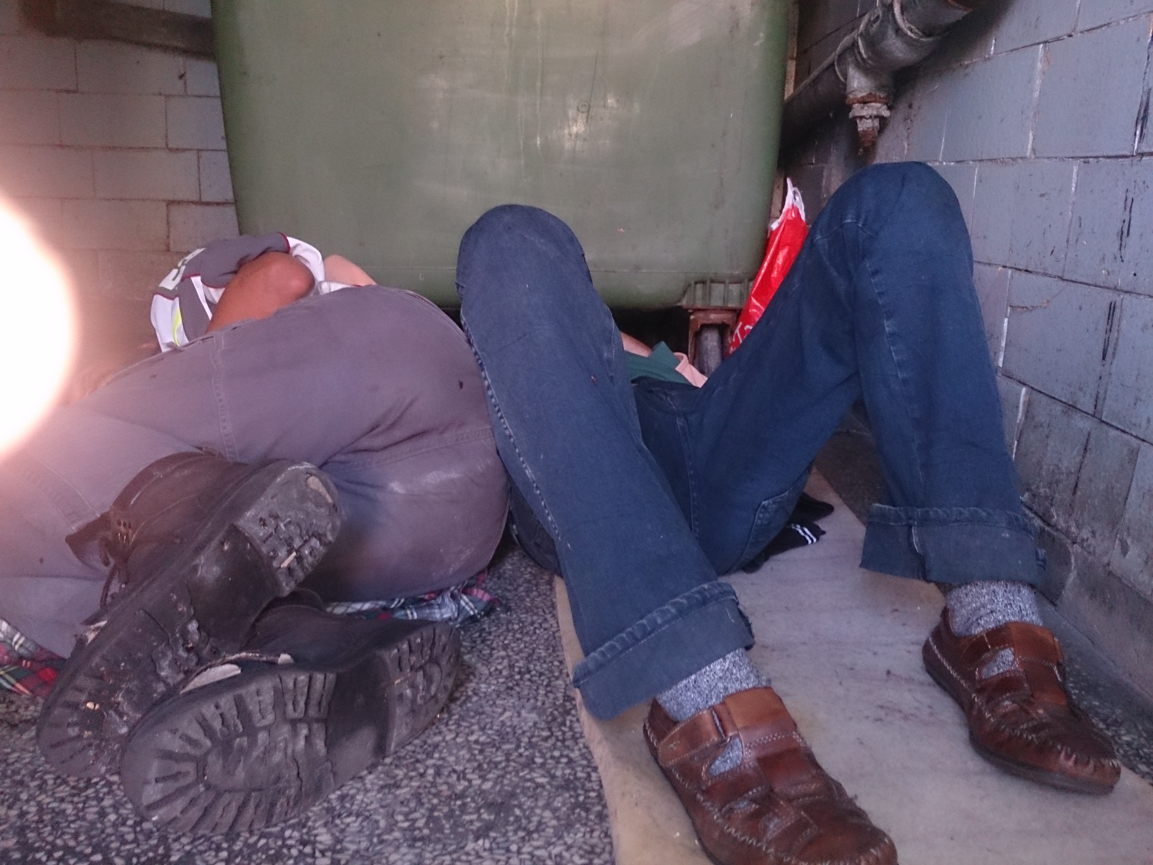 POLKOWICE. Nie daj im zamarznąć