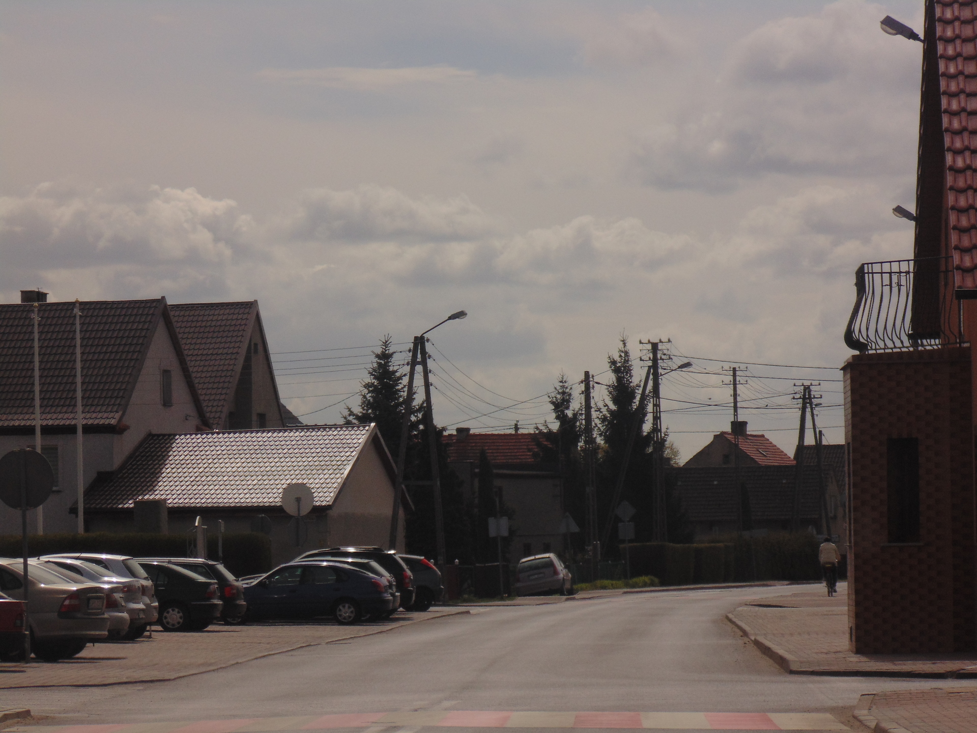 GRĘBOCICE. W czynie społecznym posadzili tuje