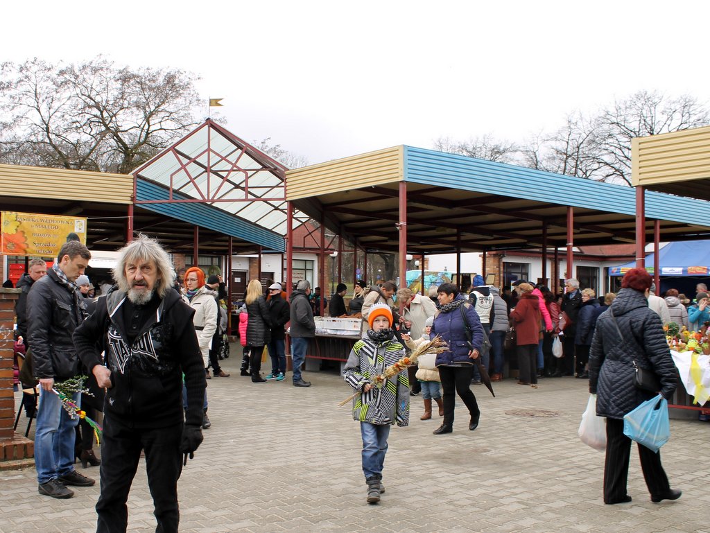 JAWOR. Piesi pod lupą policji