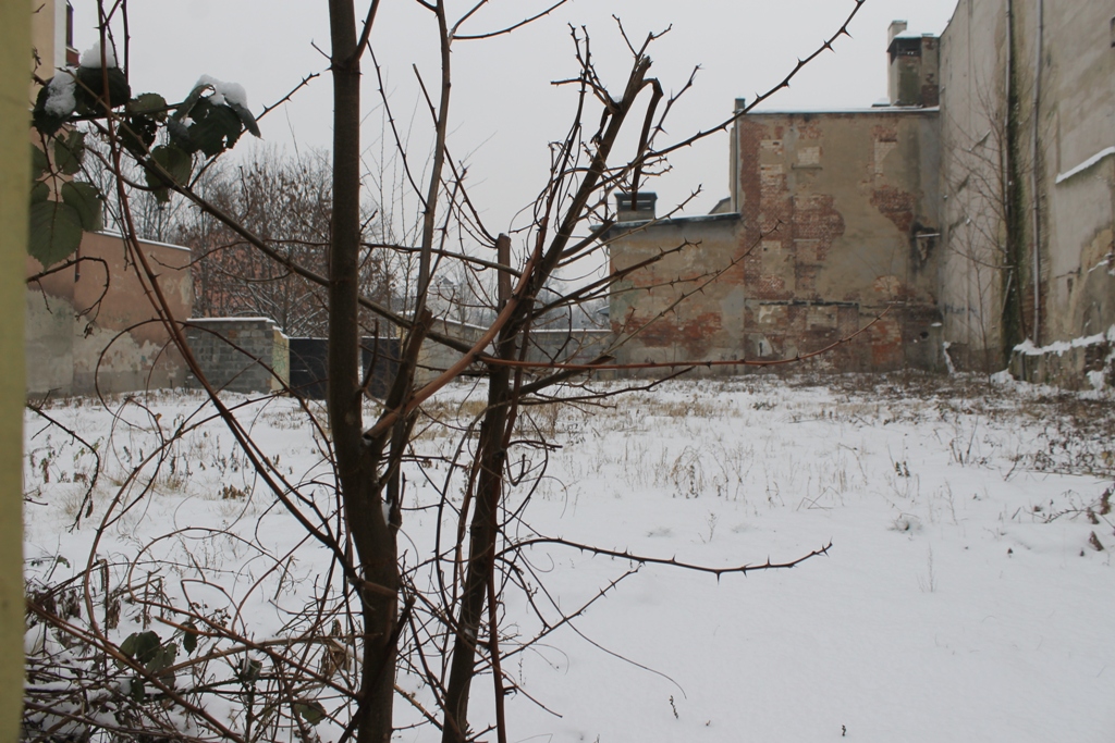 LEGNICA. Nie pamiętał, kto mu wbił nożyczki