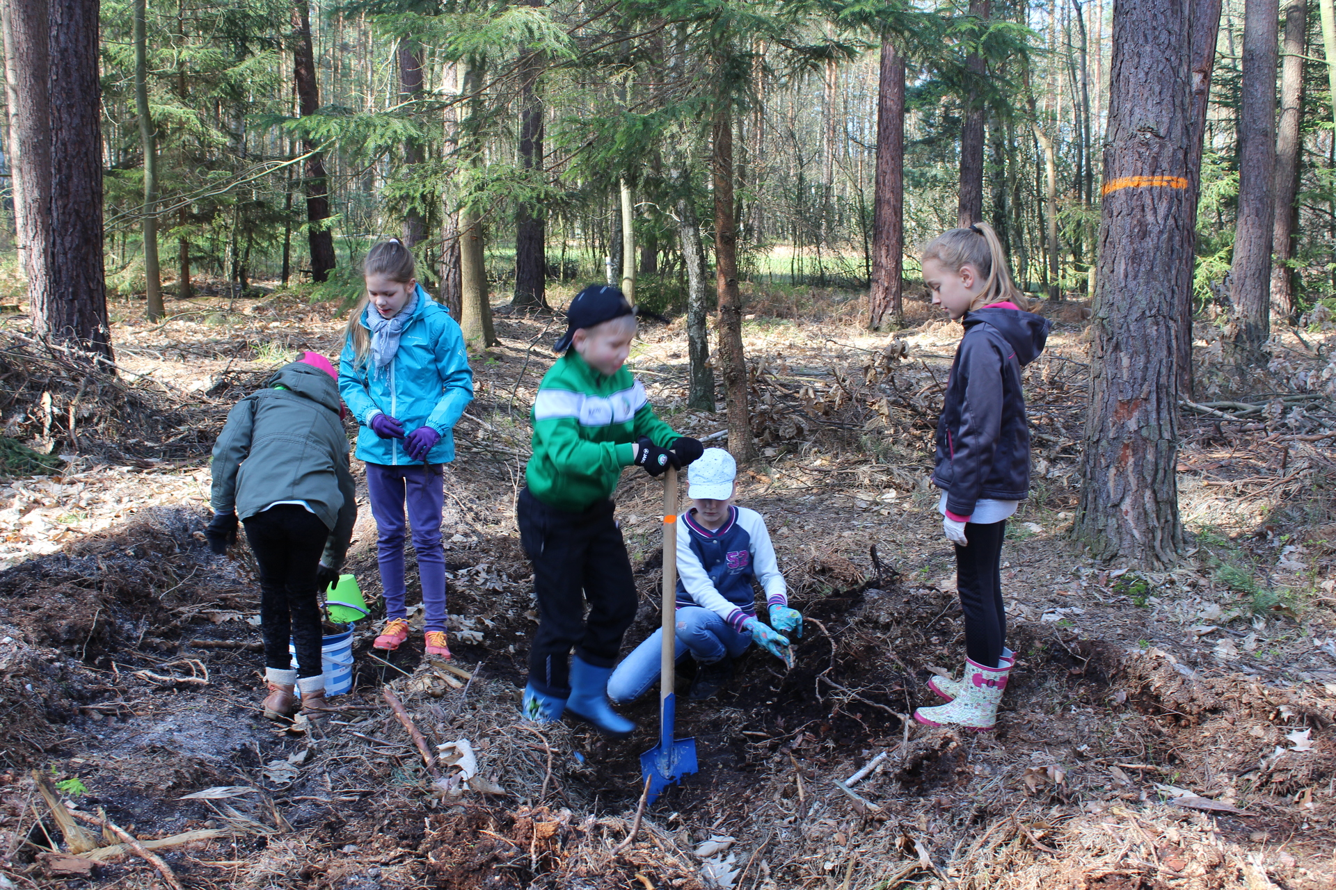 PROCHOWICE. Pięć lat temu ten sam las bardzo ucierpiał