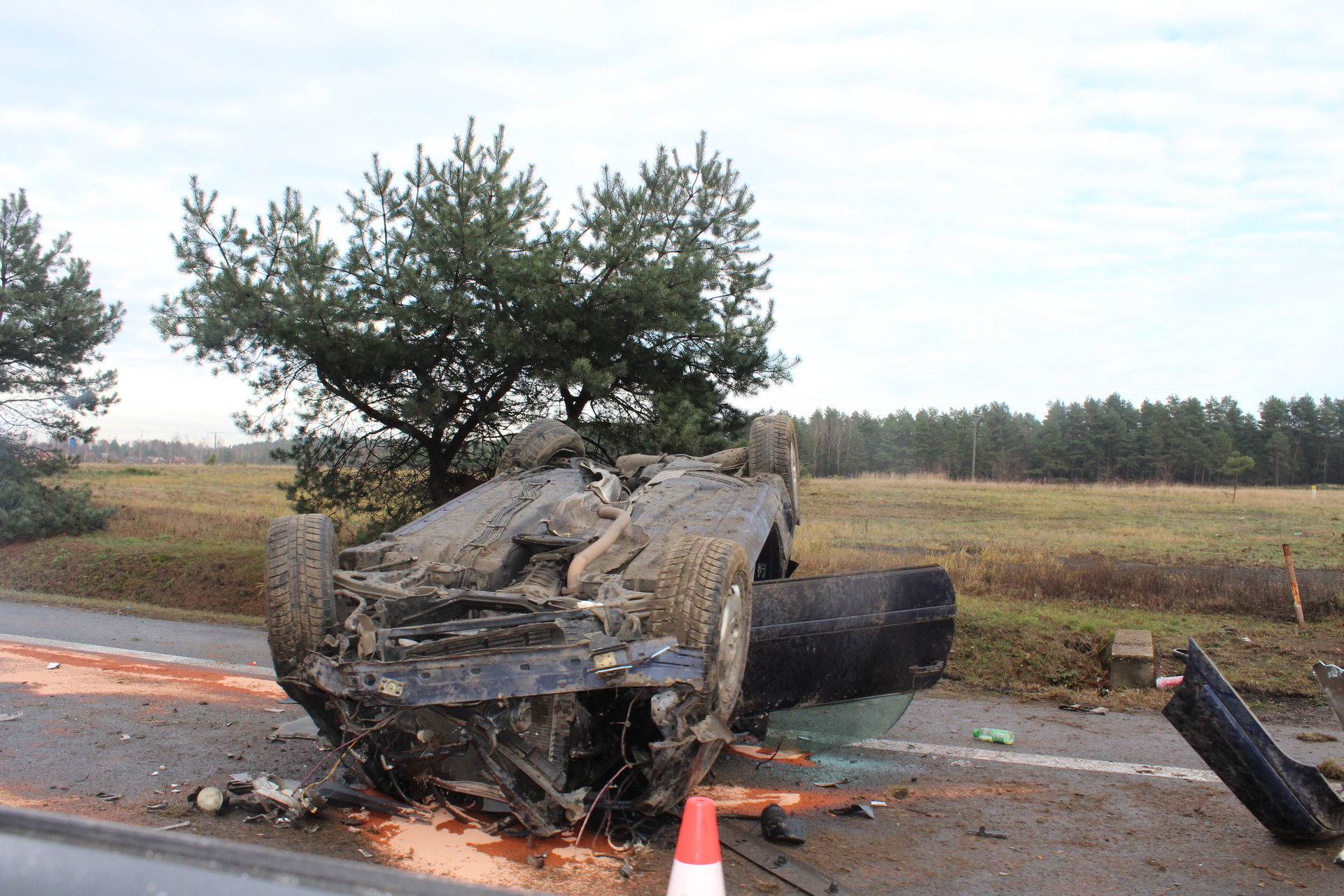 ZŁOTORYJA. Rozbili się o przydrożne drzewo
