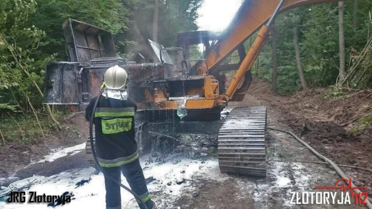 LEGNICA. Znalazła się po roku