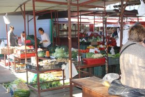 IMG_0240