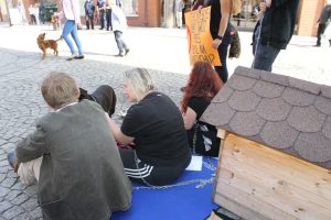 IMG_0545
