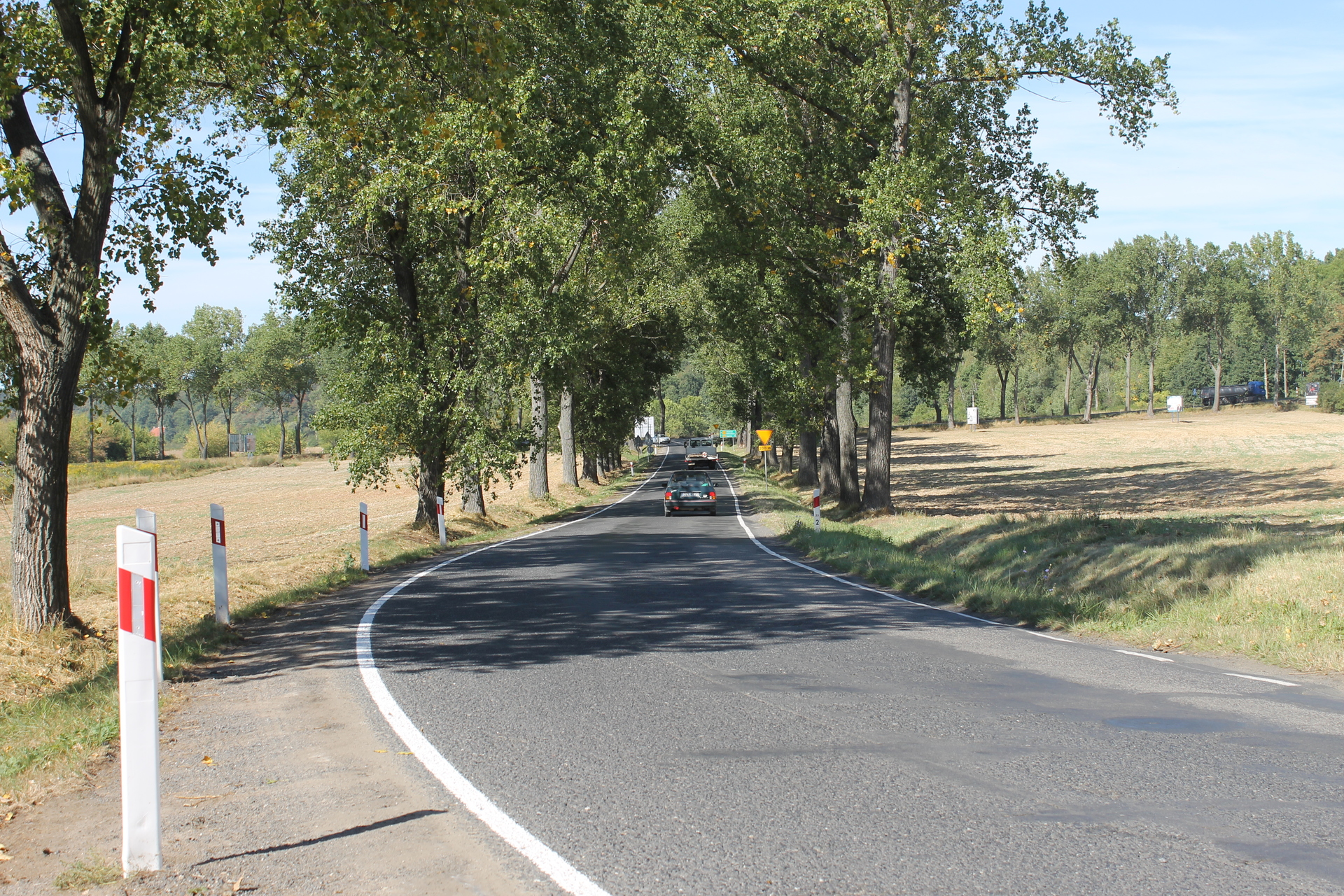 LEGNICA. Szukają artystów amatorów