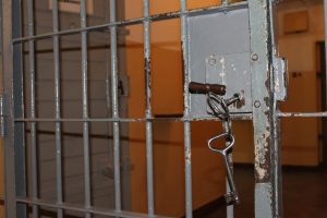 IMG_8753