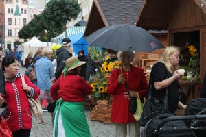 IMG_8822