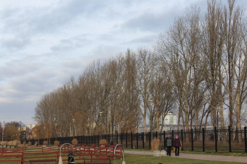 LUBIN/RUDNA. Ugodził nożem, bo nie chciał oddać zakupów