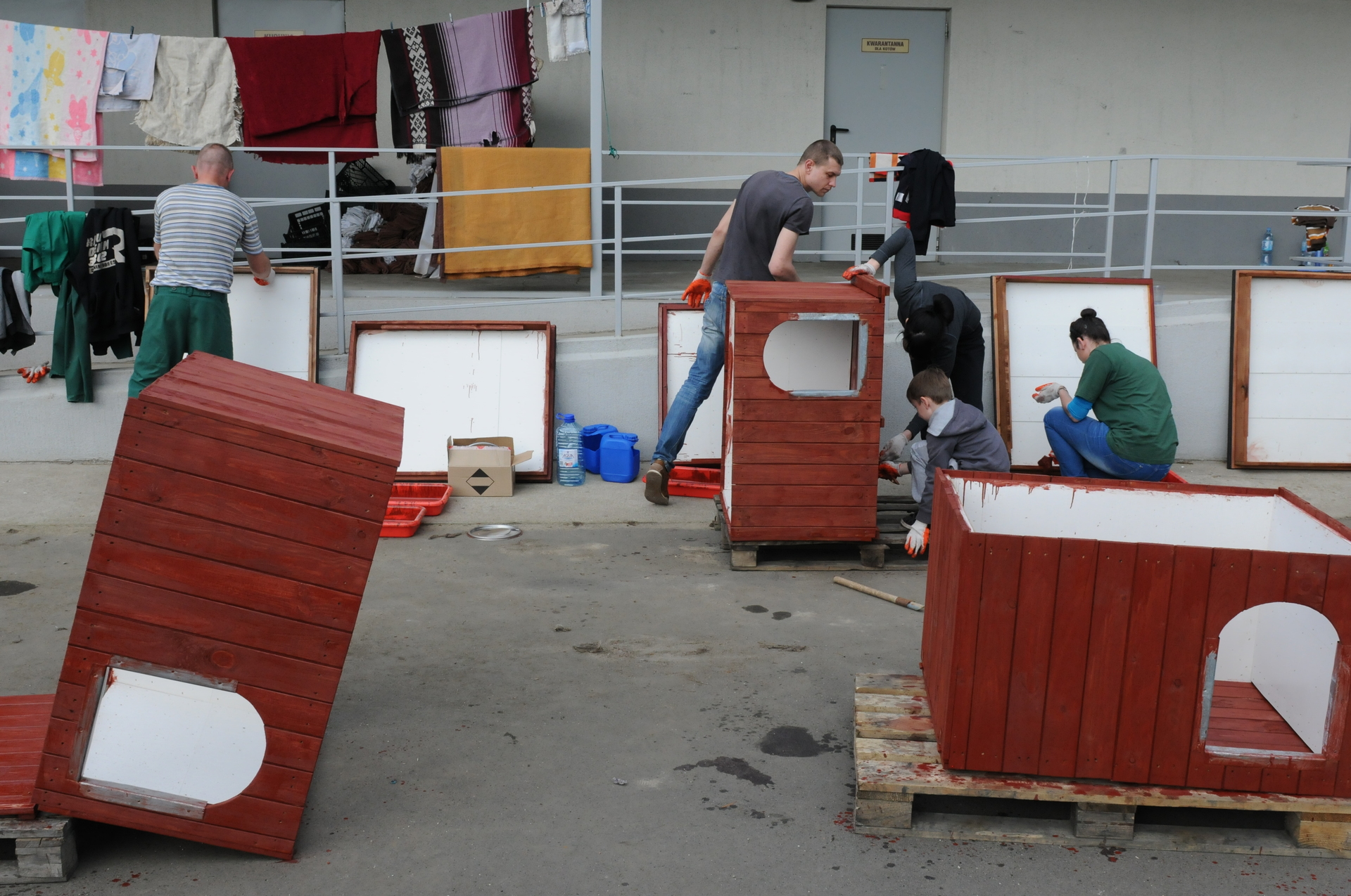 GŁOGÓW. Akcja wolontariuszy z KGHM w schronisku