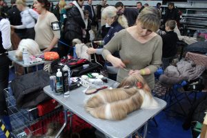 IMG_1114
