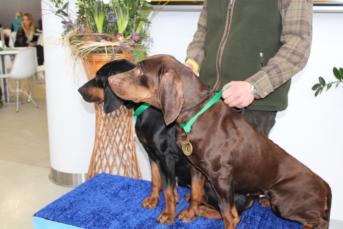 LUBIN. Znowu bez prądu!