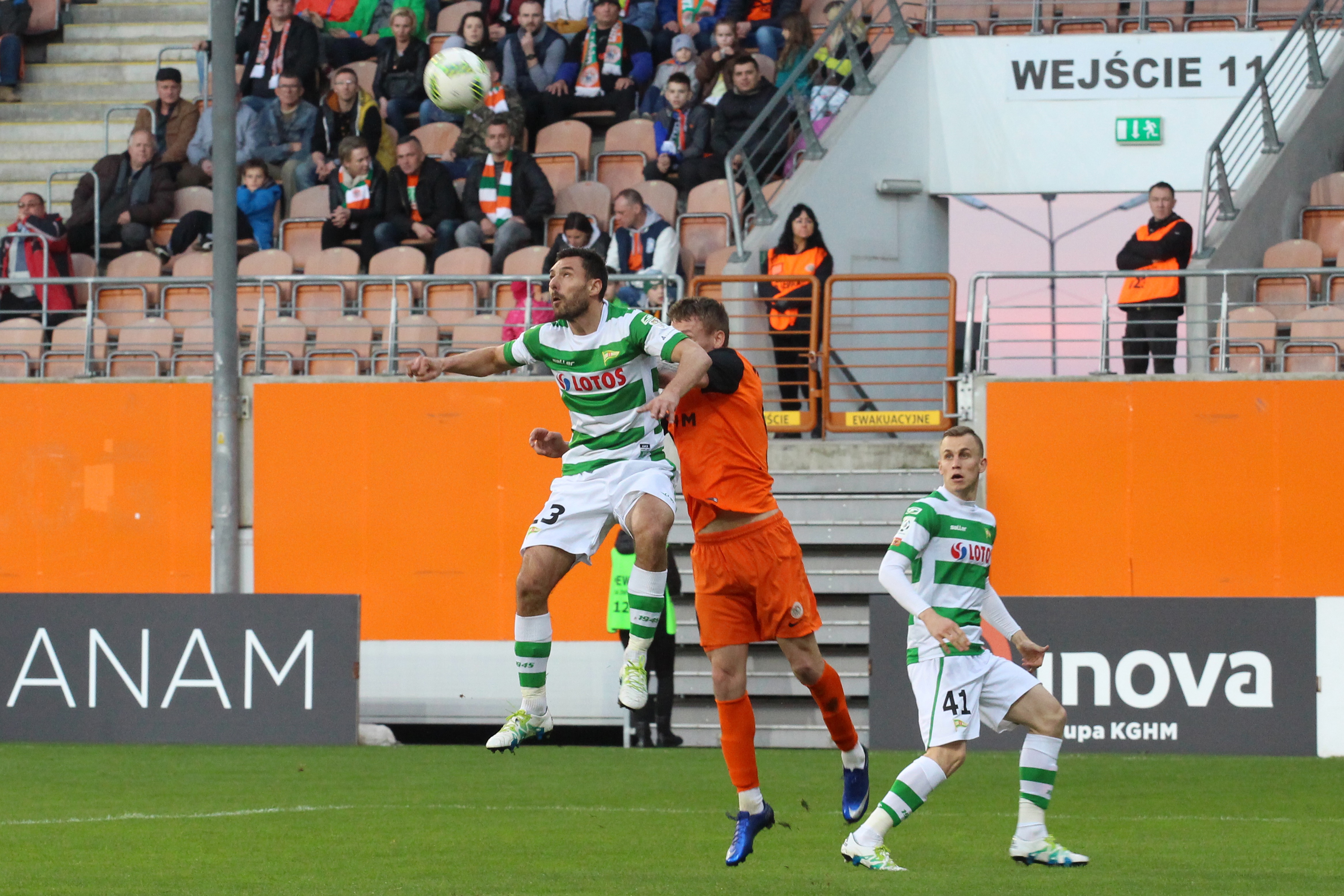 LEGNICA. Deszcz nagród za „Drogę śliską od traw”