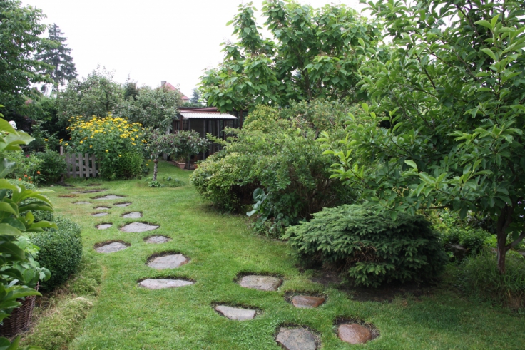 GMINA KOTLA. Wybrali najładniejszy ogród