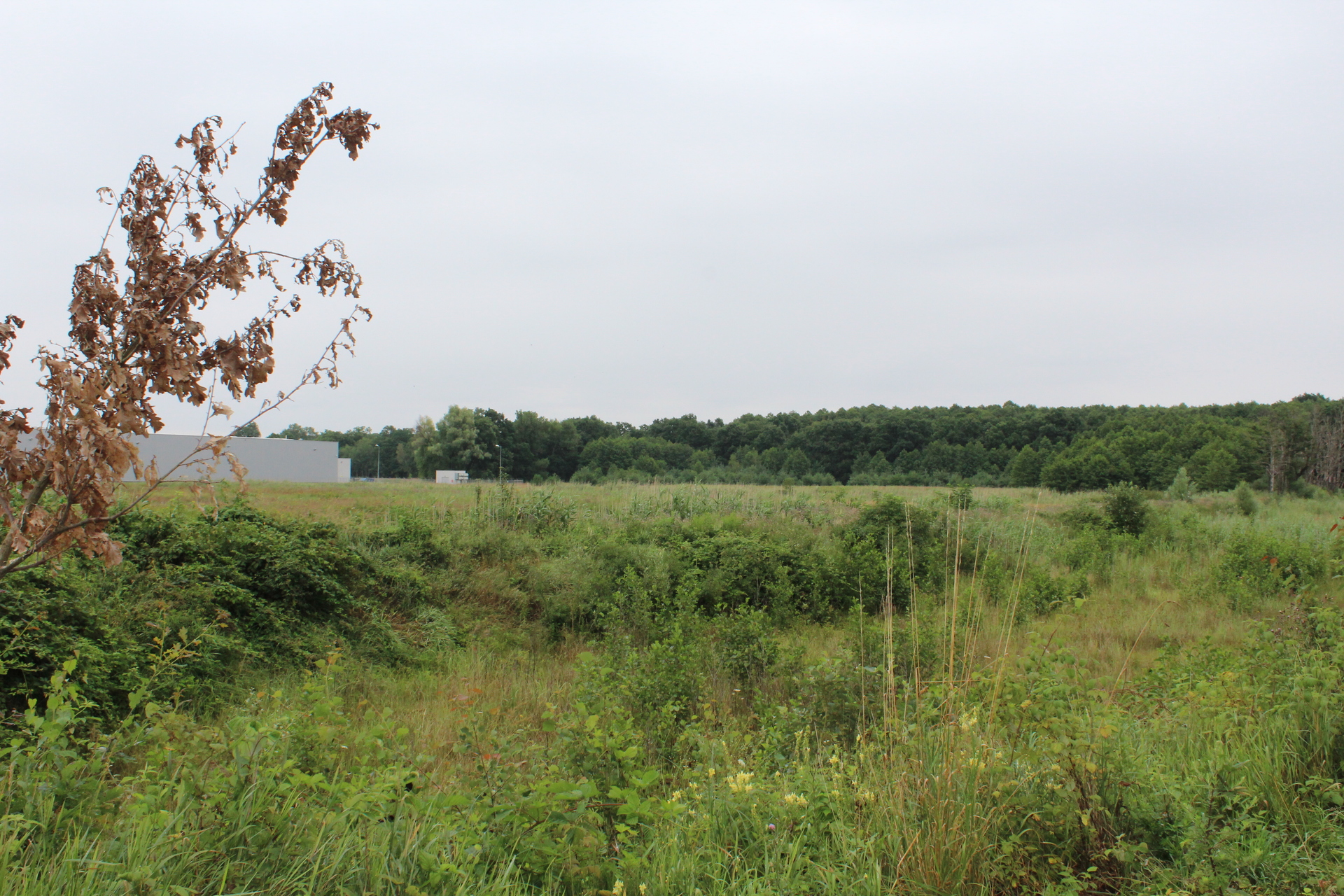 LUBIN. Dostali wóz transportowy