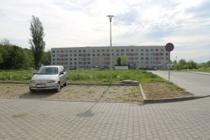 IMG_3361