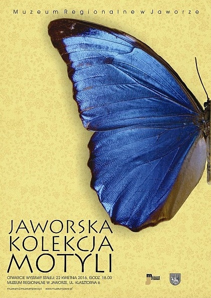 WOJCIESZÓW. Mają szlak przyjaźni polsko-czeskiej