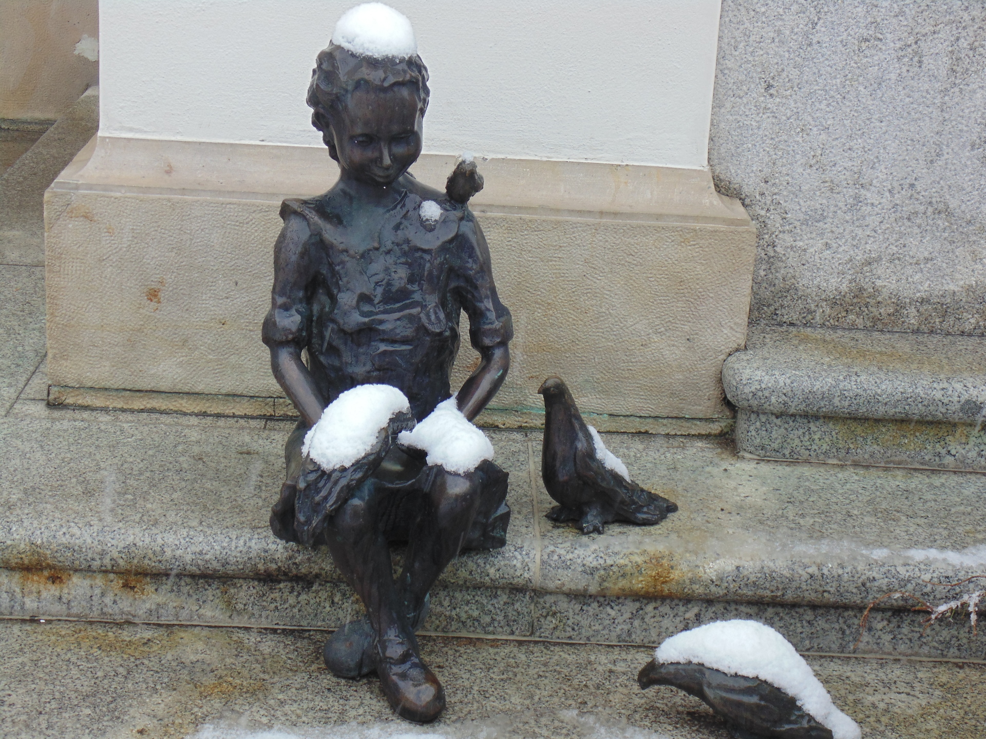 GŁOGÓW. W zimowej szacie (FOTO)