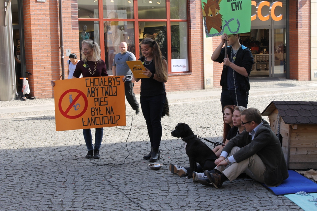 LUBIN. Zagrali przeciwko Legii