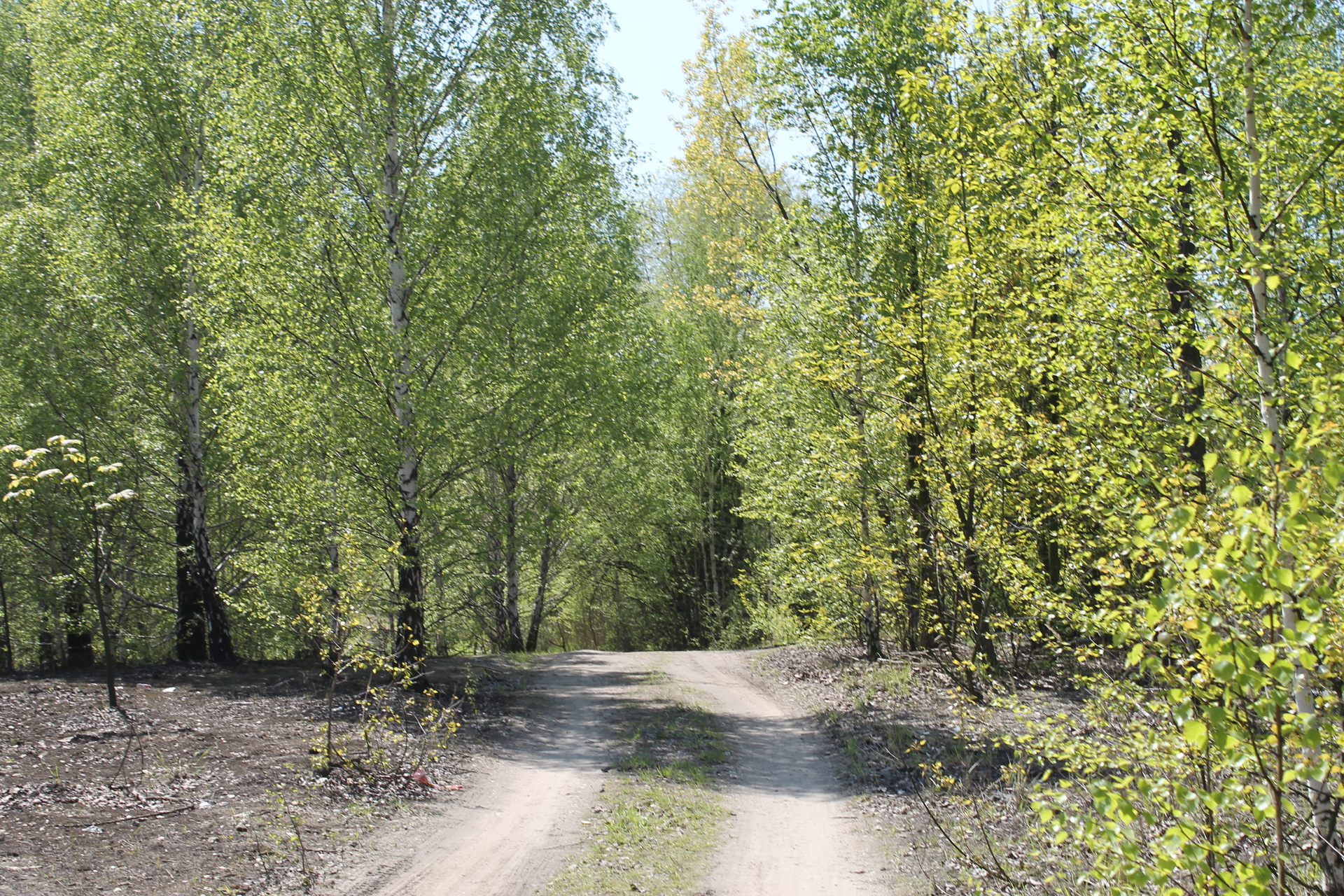 LUBIN.  Miasto wspólnie z lotniskiem